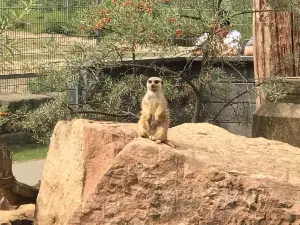 アルスドルフ動物園