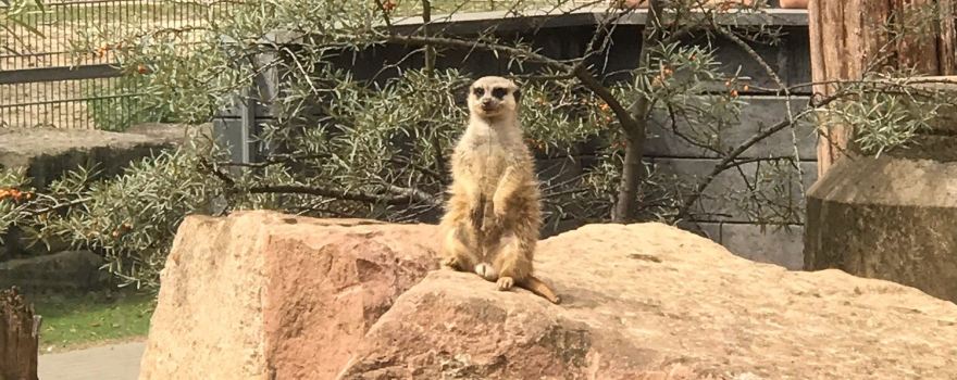 Alsdorf Zoo