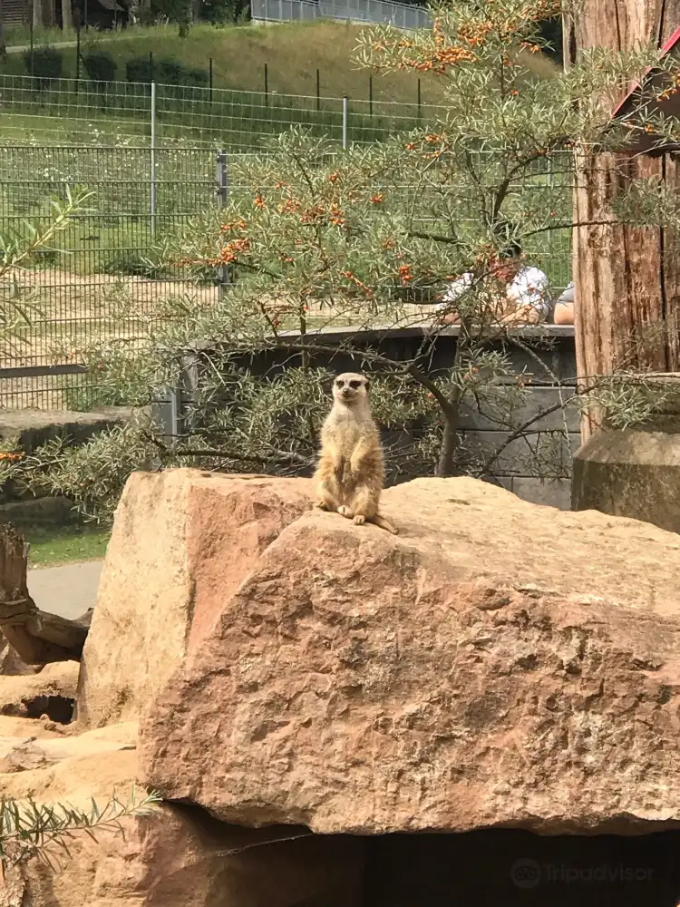 Các khách sạn gần Tierpark Alsdorf