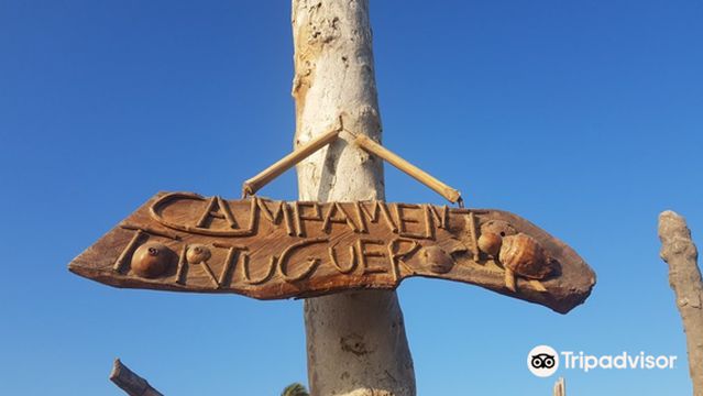Campamento Tortuguero Playa Hermosa