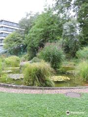 ウニヴェルシテート・フライブルク植物園