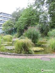 Jardín Botánico de la Universidad de Friburgo