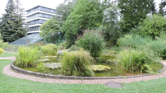 Universitaet Freiburg Botanical Garden
