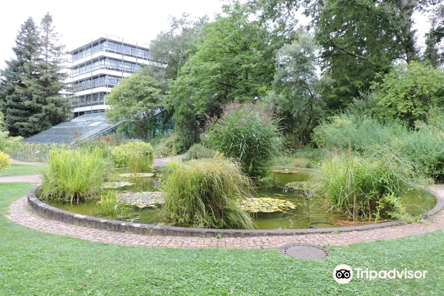 Universitaet Freiburg Botanical Garden