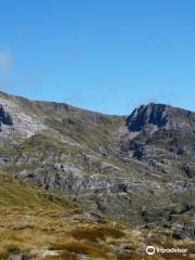 Flora Hut and Mount Arthur Hut tracks