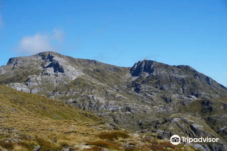 Flora Hut and Mount Arthur Hut tracks