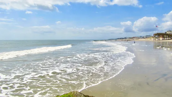 Edisto Beach State Park