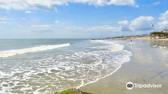 Edisto Beach State Park