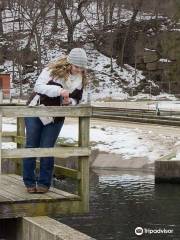 Manchester Fish Hatchery