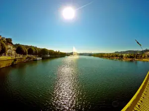 Mondego's Verde Park