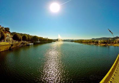 Parque Verde do Mondego
