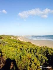 Buckley Park Foreshore Reserve