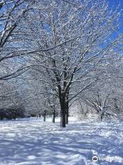 Parc Maisonneuve