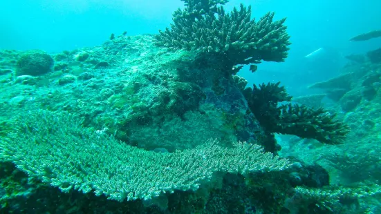 Dive Seychelles Underwater Centre