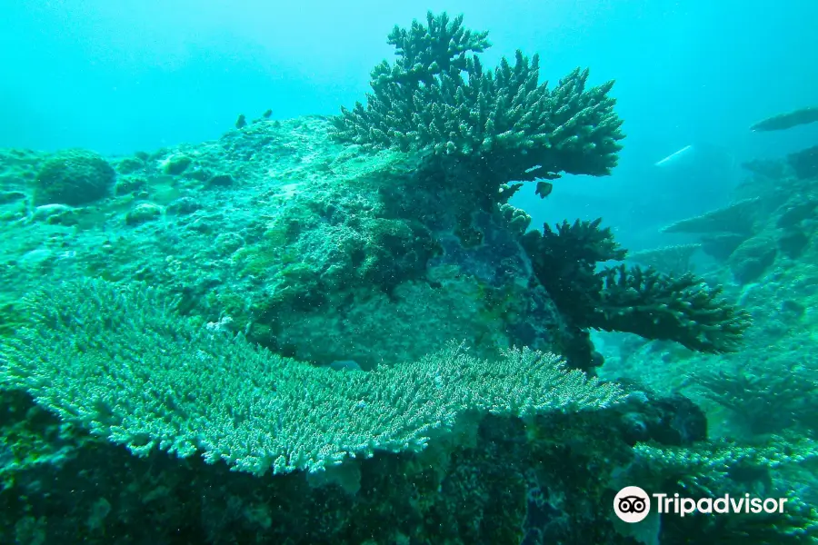 Dive Seychelles Underwater Centre