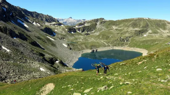 Alpine Trails - Enduro Tours