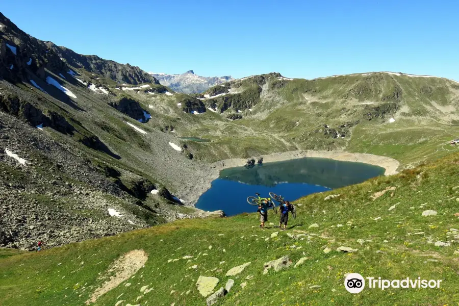 Alpine Trails - Enduro Tours