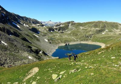 Alpine Trails - Enduro Tours