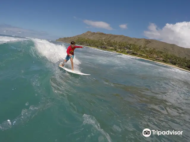 Surfing in Honolulu