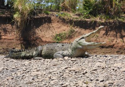 Jose´s Crocodile River Tour