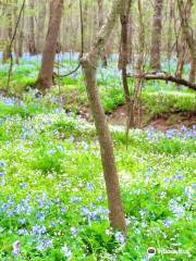 Merrimac Farm Wildlife Management Area