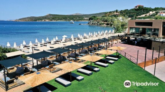 Atenas, Grecia: Excursión de medio día al lago Vouliagmeni, la playa de Sounio y el templo de Poseidón