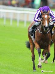 The Curragh Racecourse