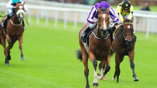 The Curragh Racecourse