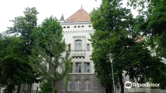 Arad Museum