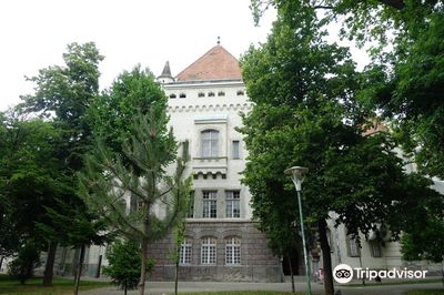 Arad Museum