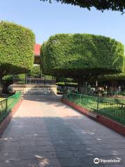 Jardin Principal De Valle De Santiago, Gto.