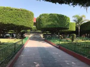 Jardin Principal De Valle De Santiago, Gto.