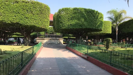 Jardin Principal De Valle De Santiago, Gto.