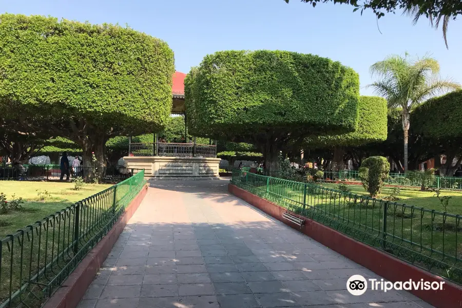 Jardin Principal De Valle De Santiago, Gto.