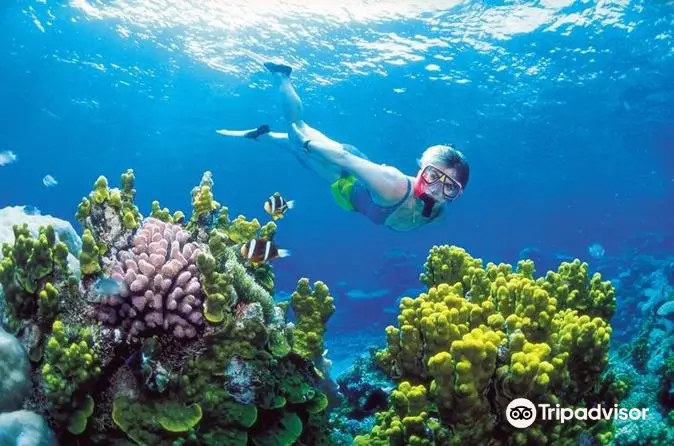 Riviera Maya Snorkeling