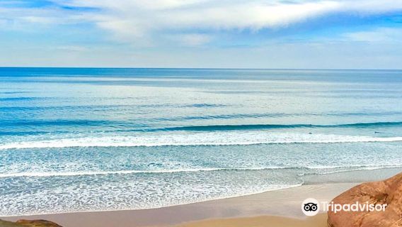 Good Surf Good Love - Surf Academy