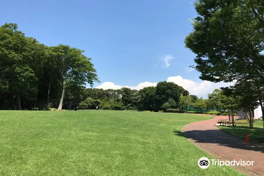 Hanashima Park
