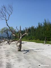 Diglipur Beach