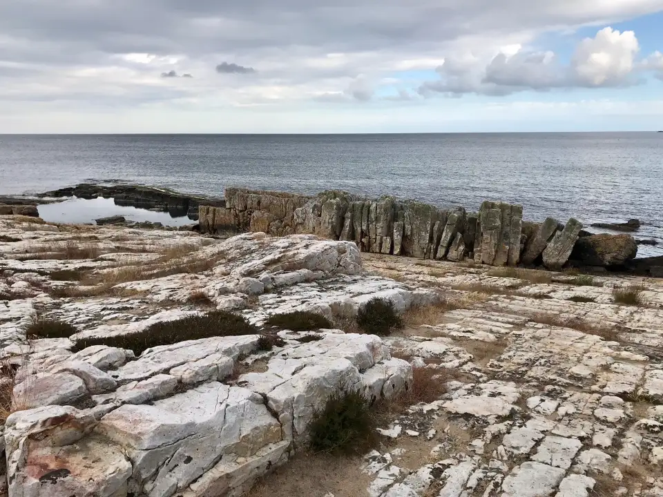 3_Varhallen-Tobisvik