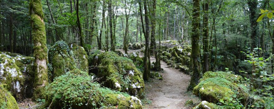 Sentier karstique du Grand Bois