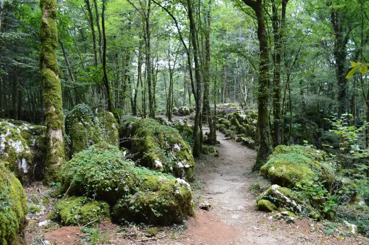 Merey-sous-Montrond
