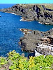 Playa de Rojas