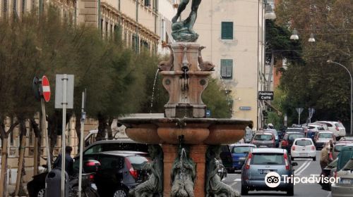 Fontana del Nettuno