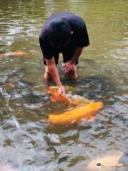 Bombon Kg. Marakau (Fish Spa)