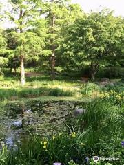 沂青山植物園