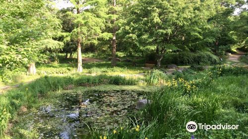 Kicheongsan Botanical Gardens