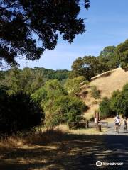 Point Pinole Regional Shoreline