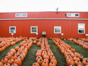 Lucky Ladd Farms - Farm Park & Zoo