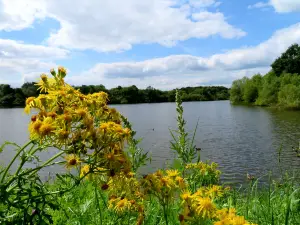 Shipley Country Park