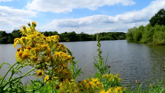 Shipley Country Park